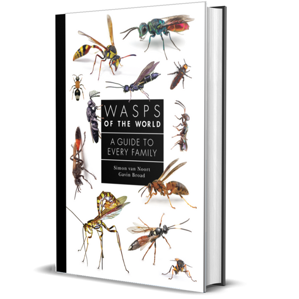 Wasps of the World: A Guide to Every Family