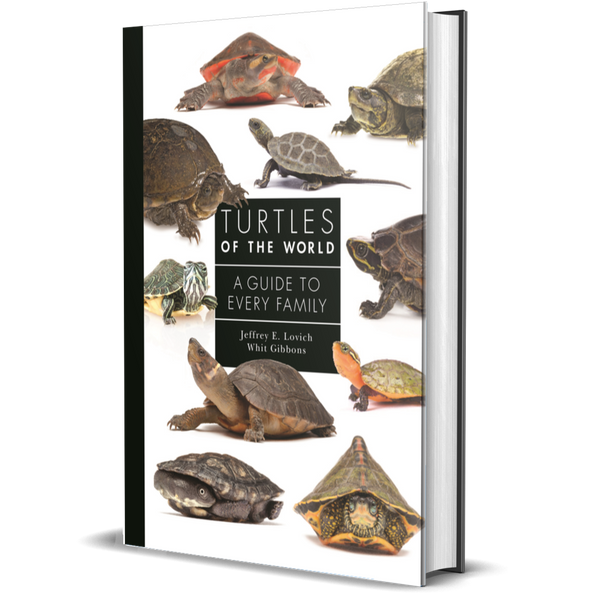 Turtles of the World: A Guide to Every Family