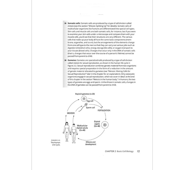 Genetics For Dummies 4th Edition BIOWEB Colombia genetics-for-dummies-4th-edition-bioweb-colombia