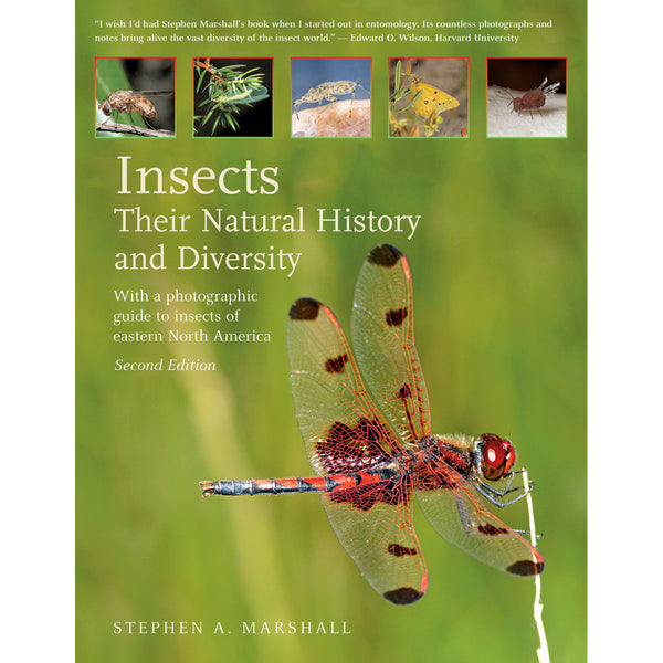 Insects: Their Natural History and Diversity: With a Photographic Guide to Insects of Eastern North America
