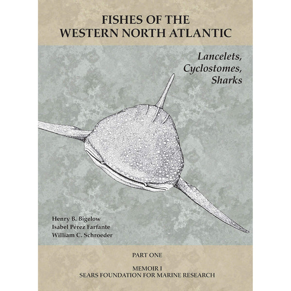 Lancelets, Cyclostomes, Sharks: Part 1 (Fishes of the Western North Atlantic)