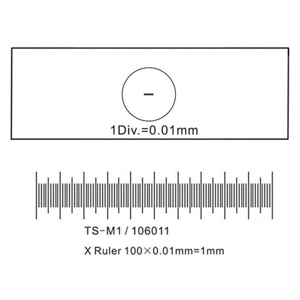 Lámina Micrométrica de Calibración para Microscopios 0,01 mm