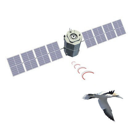 Servicio de Transmisión de Datos Globalstar Satellite System
