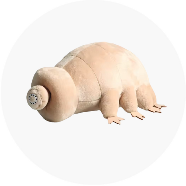 Peluches (Kids)