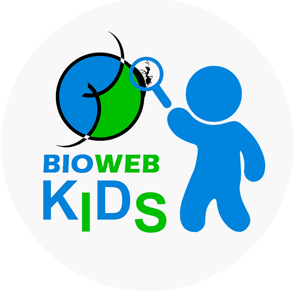 Bioweb Jensen Colecciones - BIOWEB® Colombia