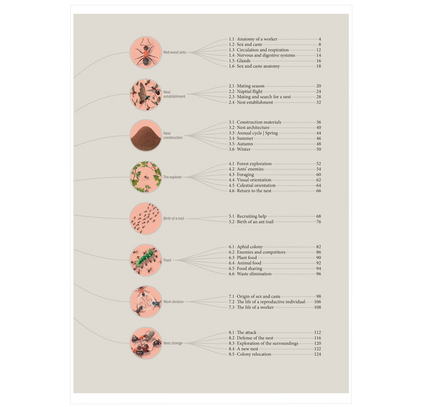 The Ant Collective: Inside the World of an Ant Colony