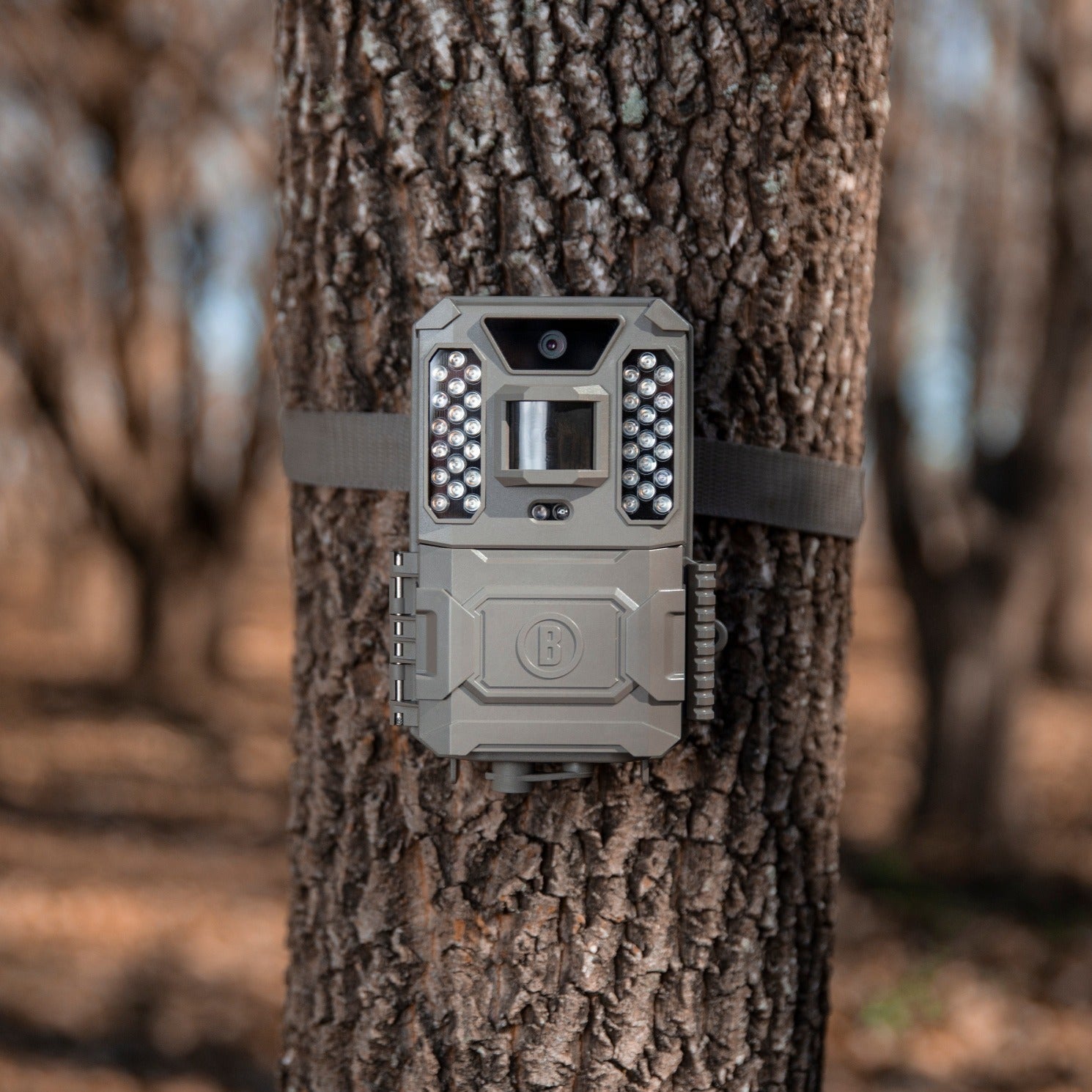 Las mejores cámaras de seguimiento fototrampeo Bushnell Core Low Glow