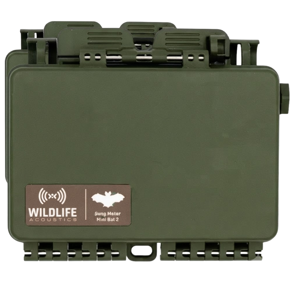 Grabadora Ultrasónica Song Meter Mini Bat 2 Doble LI-ION Wildlife Acoustics