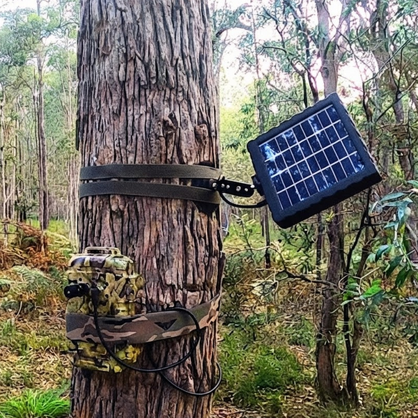 Kit de Panel Solar Titley Scientific para Detector Ranger y Swift