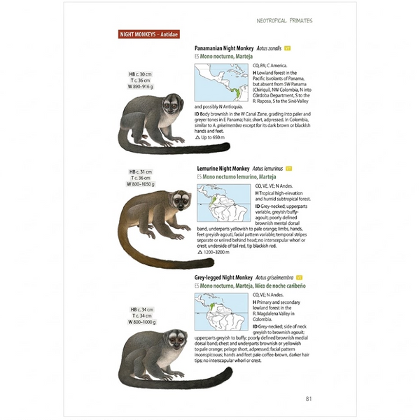 Neotropical Primates