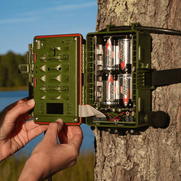 Grabadora Acústica Song Meter SM5 Wildlife