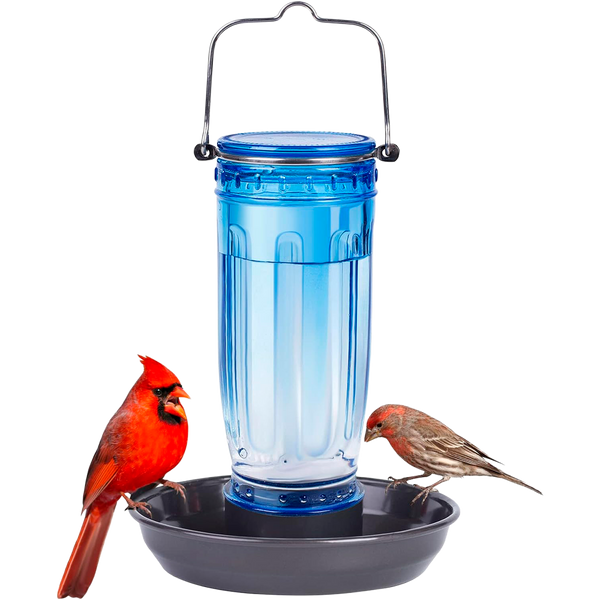 Bebedero para Pájaros Silvestres en Vidrio 16 Oz
