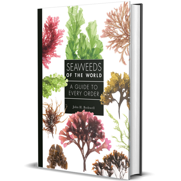 Seaweeds of the World A Guide to Every Order