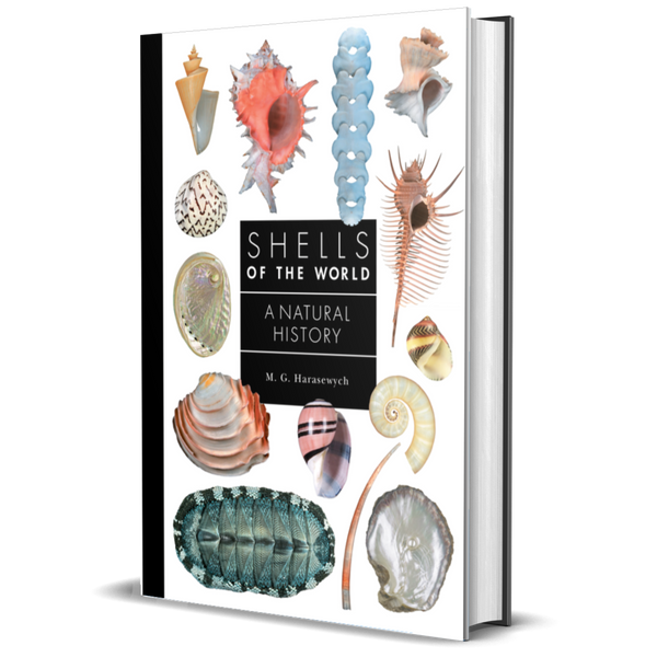 Shells of the World: A Natural History | A Guide to Every Family