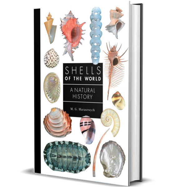 Shells of the World: A Natural History | A Guide to Every Family