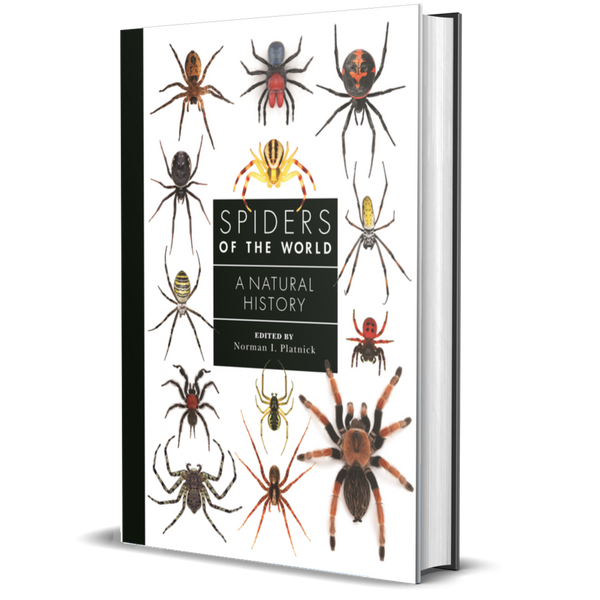 Spiders of the World: A Natural History