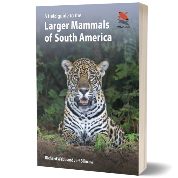 A Field Guide to the Larger Mammals of South America