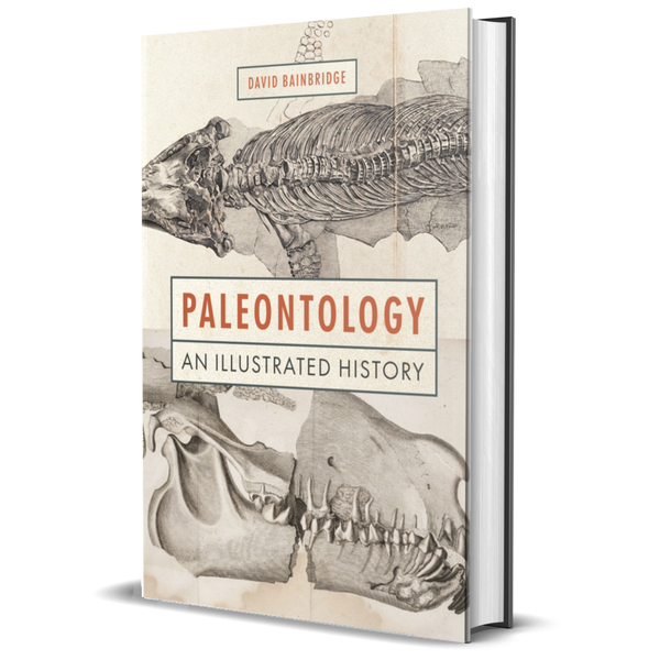 Paleontology: An Illustrated History - BIOWEB® Colombia