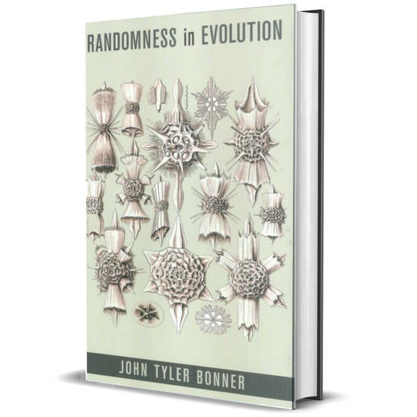 Randomness in Evolution