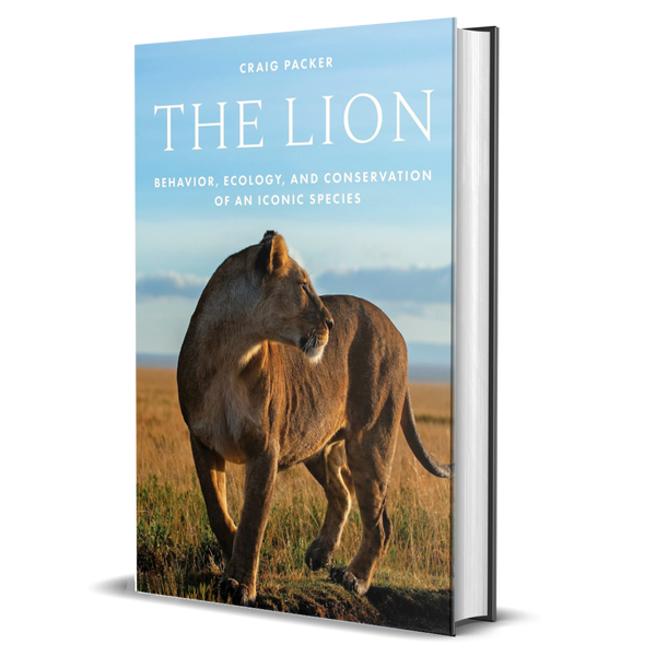 The Lion: Behavior, Ecology, and Conservation of an Iconic Species