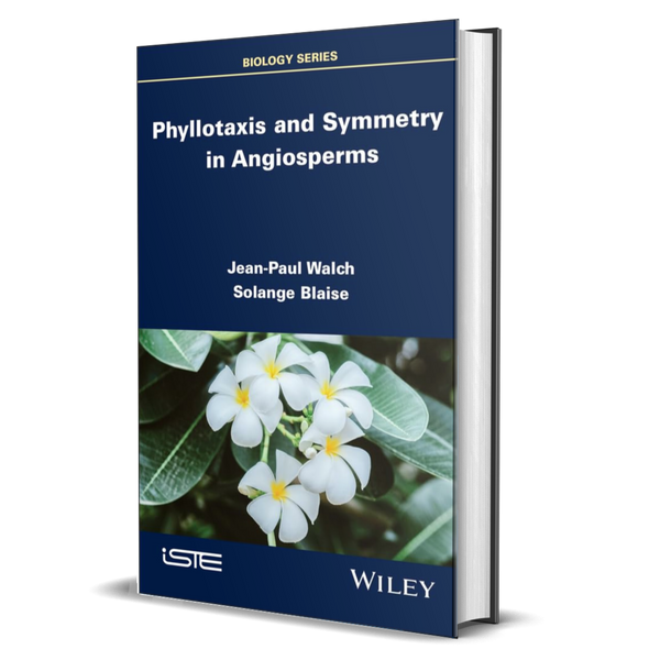 Phyllotaxis and Symmetry in Angiosperms