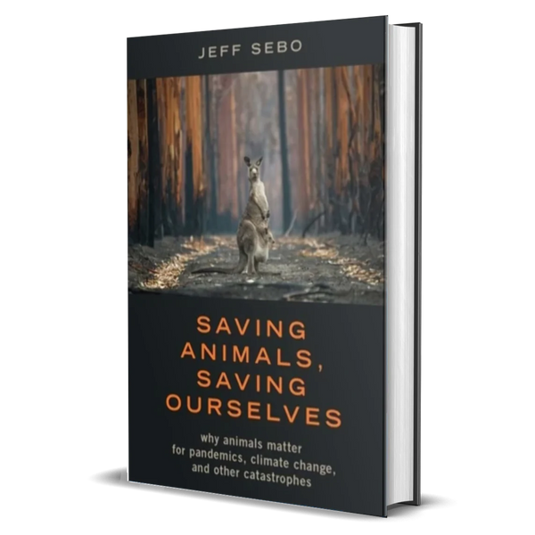 Saving Animals, Saving Ourselves: Why Animals Matter for Pandemics, Climate Change, and other Catastrophes