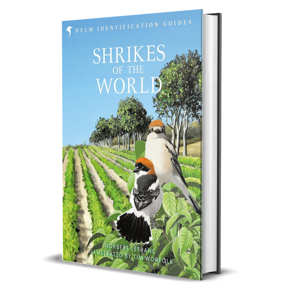 Shrikes of the World: THE BB/BTO BIRD BOOK OF THE YEAR (Helm Identification Guides)