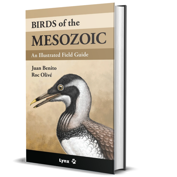 Birds of the Mesozoic: An Illustrated Field Guide