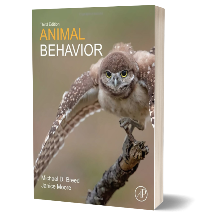 Animal Behavior BIOWEB Colombia Animal behavior bioweb colombia