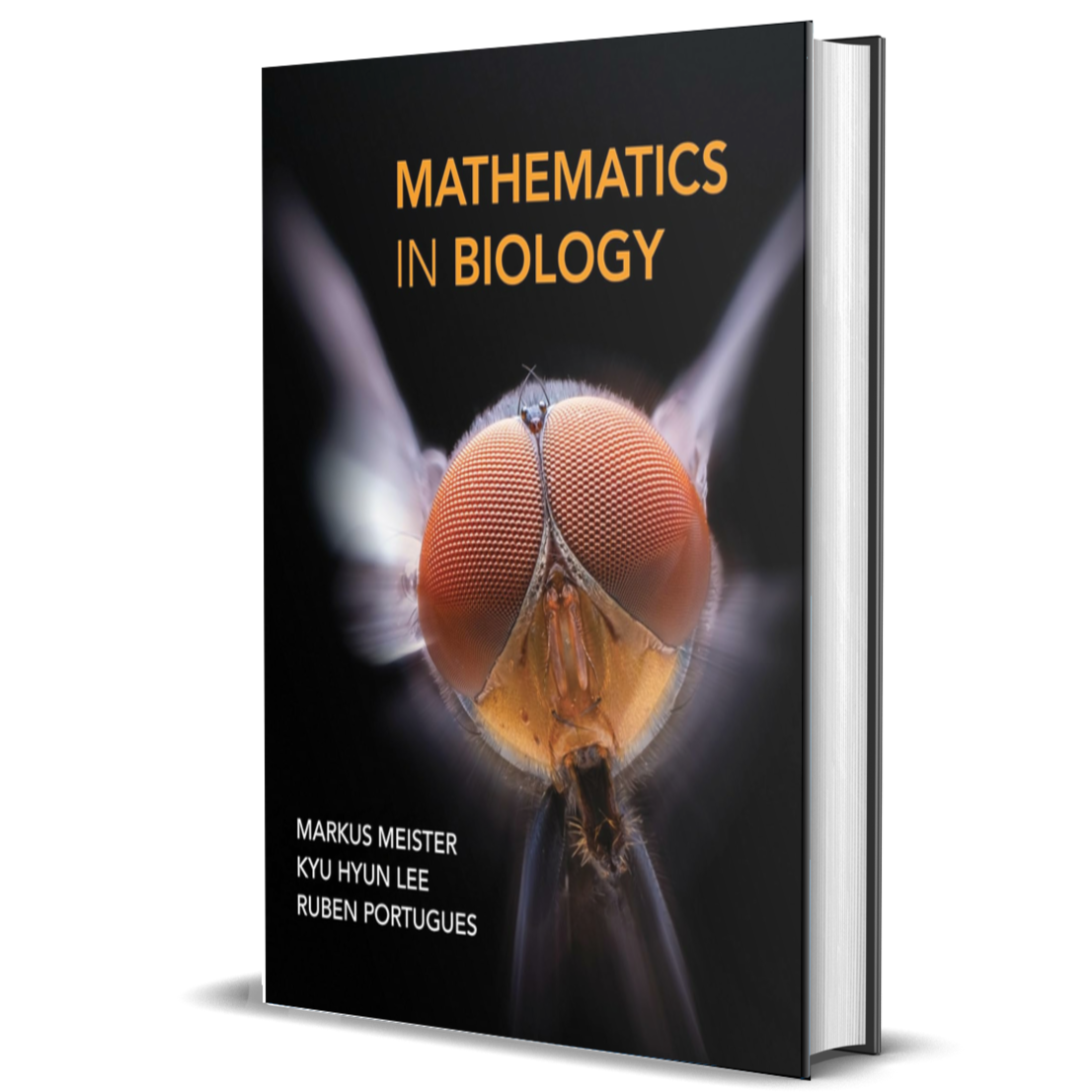 Mathematics in Biology - BIOWEB® Colombia