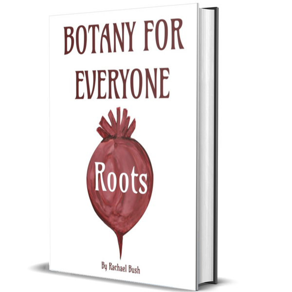 Botany for Everyone: Roots