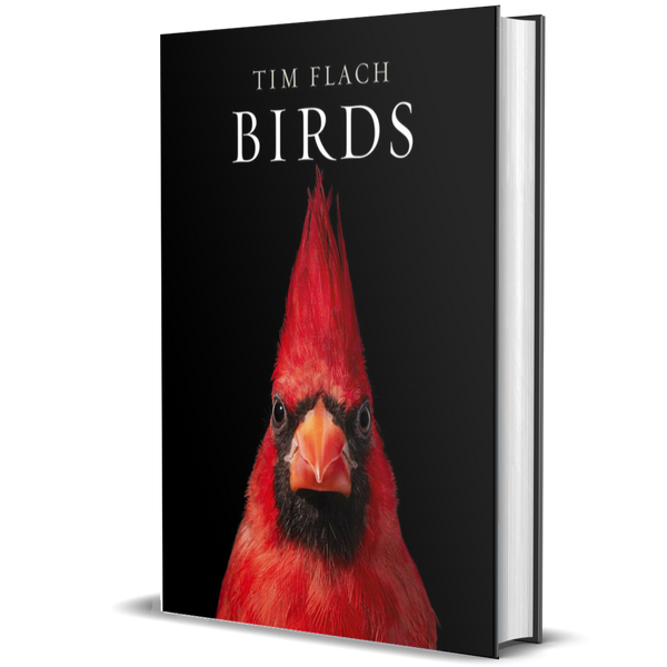 Birds: Photographs