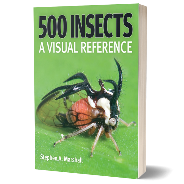 500 Insects: A Visual Reference