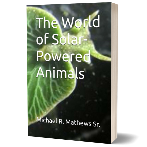 The World of Solar-Powered Animals