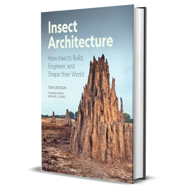 Insect Architecture: How Insects Build, Engineer, and Shape Their World