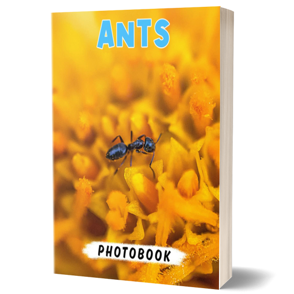 Ants Photo Book: Various Photography about Ants for Anyone Explored to Decor as Gifts with 40+ Pages High Quality Pictures for Relaxation