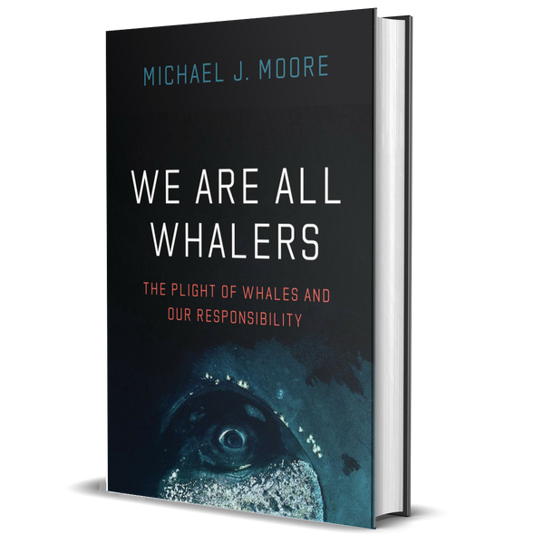 We Are All Whalers: The Plight of Whales and Our Responsibility