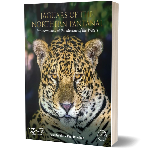 Jaguars of the Northern Pantanal: Panthera onca at the Meeting of the Waters