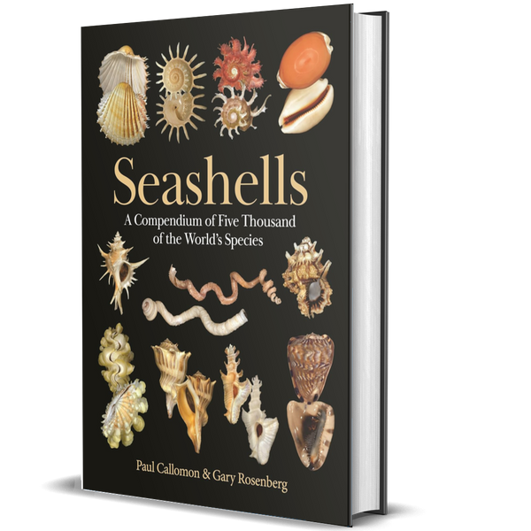 Seashells: A Compendium of Five Thousand of the World’s Species