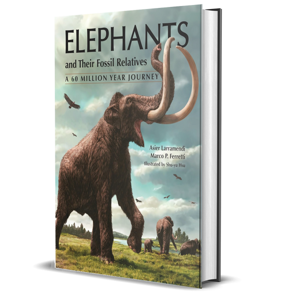 Elephants and Their Fossil Relatives: A 60 Million Year Journey