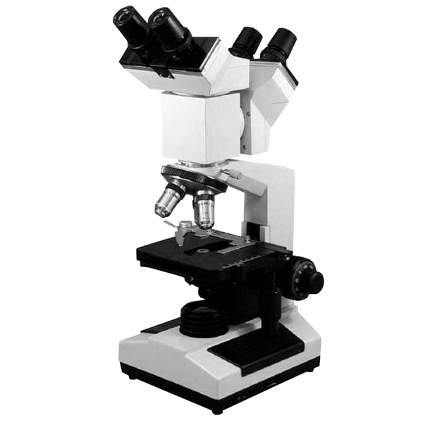 Microscopio Binocular Compuesto Amscope D200 Series