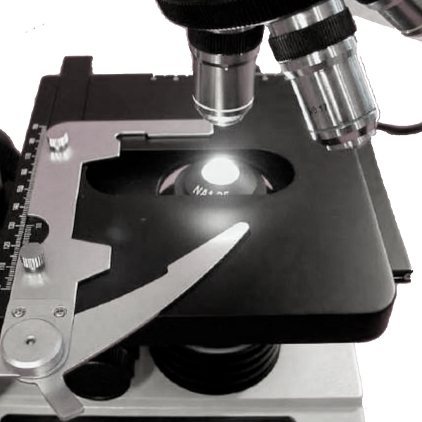 Microscopio Binocular Compuesto Amscope D200 Series