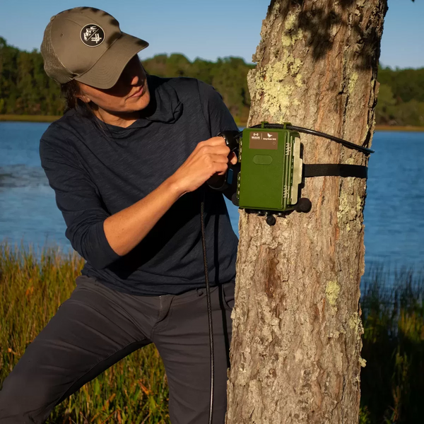 Grabadora Acústica Song Meter SM5 Wildlife