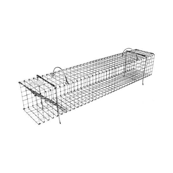 Trampas Plegables para Colonias de Ratas Almizcleras