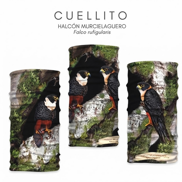 Cuellos Tipo Buff Estampados de Aves Atratus 