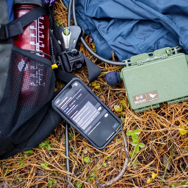 Grabadora Ultrasónica Acústica Song Meter Mini Bat 2 Li-Ion  Wildlife Acoustics