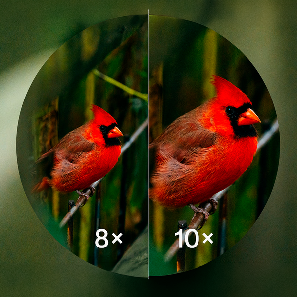 Binoculares de Tamaño Completo Bushnell A5