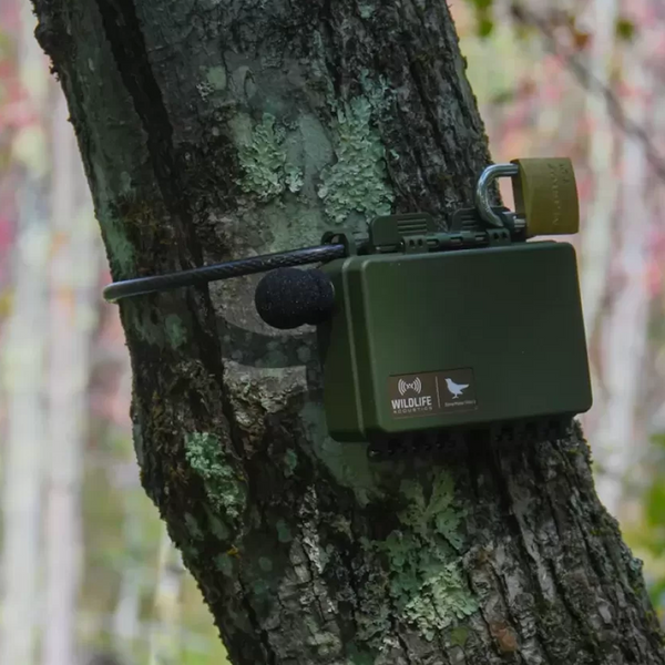 Grabadora Ultrasónica Acústica Song Meter Mini Bat 2 Li-Ion  Wildlife Acoustics