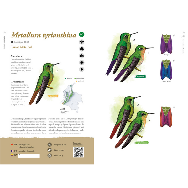 Guía Ilustrada de Los Colibríes de Colombia