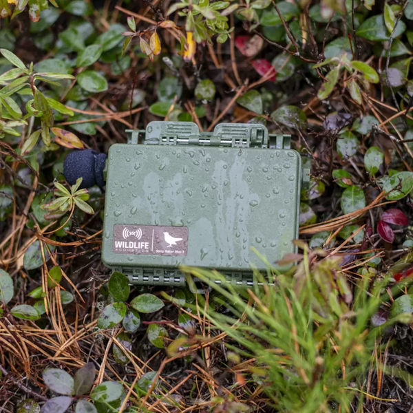 Grabadora Ultrasónica Acústica Song Meter Mini Bat 2 Li-Ion  Wildlife Acoustics